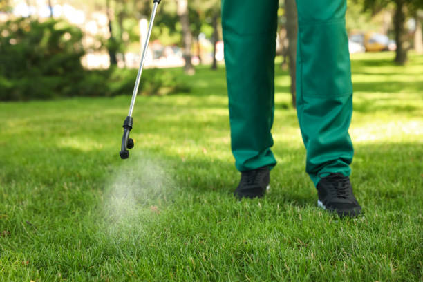 Best Pest Prevention Services  in Euless, TX