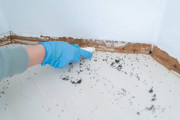 Best Pest Removal Services  in Euless, TX