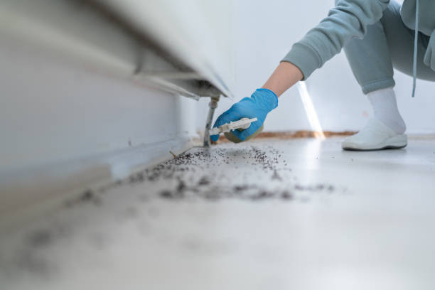 Pest Control Cost in Euless, TX
